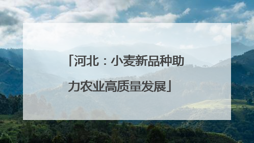 河北：小麦新品种助力农业高质量发展